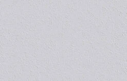 6 Rollen Erfurt Variovlies Style Tapete Glattvlies 90m² -Home Wallpaper Store 1 Karton Erfurt Variovlies Style Struktur Tapete G