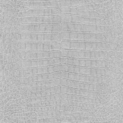 Rasch Vliestapete Krokodil Silber Grau Metallic 474145