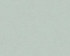 Tapete Vlies Daniel Hechter Struktur Mintgrün 30580-2