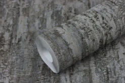 Tapete Vlies Rasch Birke Baumstamm Anthrazit 554076 -Home Wallpaper Store Tapete Vlies Rasch Birke Baumstamm anthrazit 554076 63211744 7