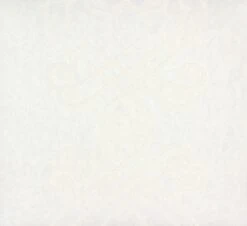 Vliestapete Barock Weiß Patent Decor 3D 9429